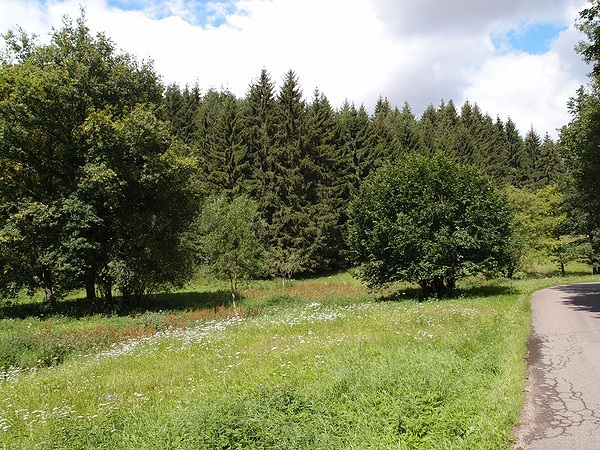 Bild Nr. 3